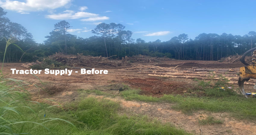 Tractor Supply at project start